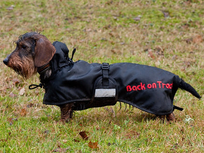 Back On Track Dachshund Regular Dog Blanket