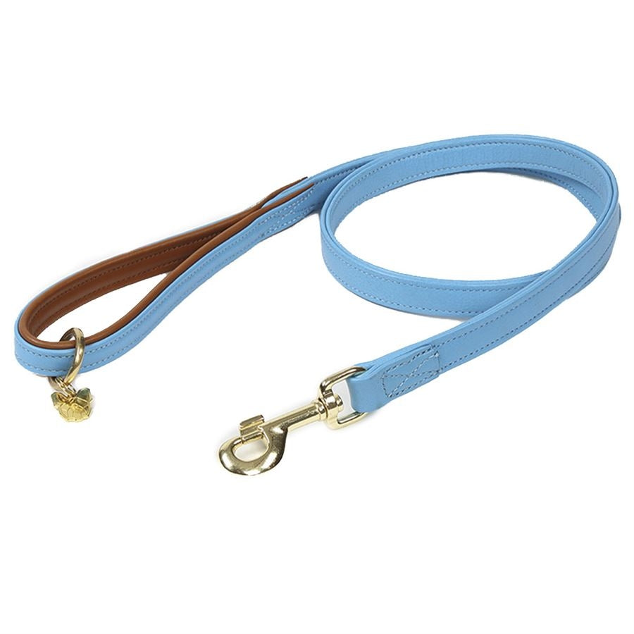 Shires Digby & Fox Padded Leather Dog Lead