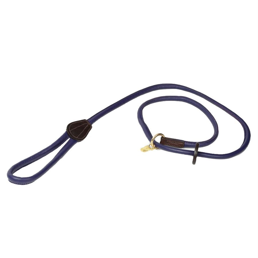 Shires Digby & Fox Padded Leather Dog Lead