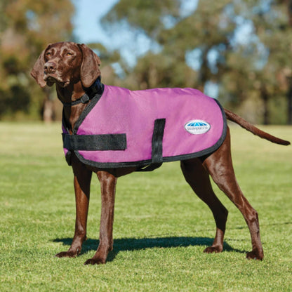 Weatherbeeta ComFiTec Classic Dog Coat