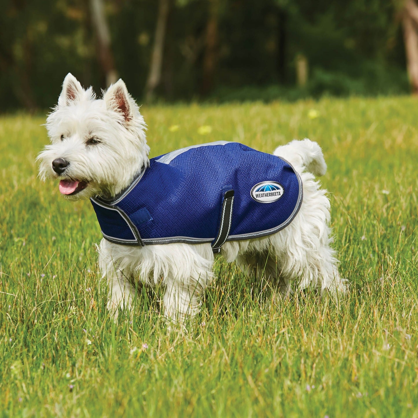 Weatherbeeta ComFiTec Premier Free Parka Dog Coat