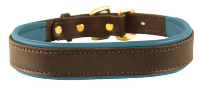 Perri's Padded Leather Dog Collar