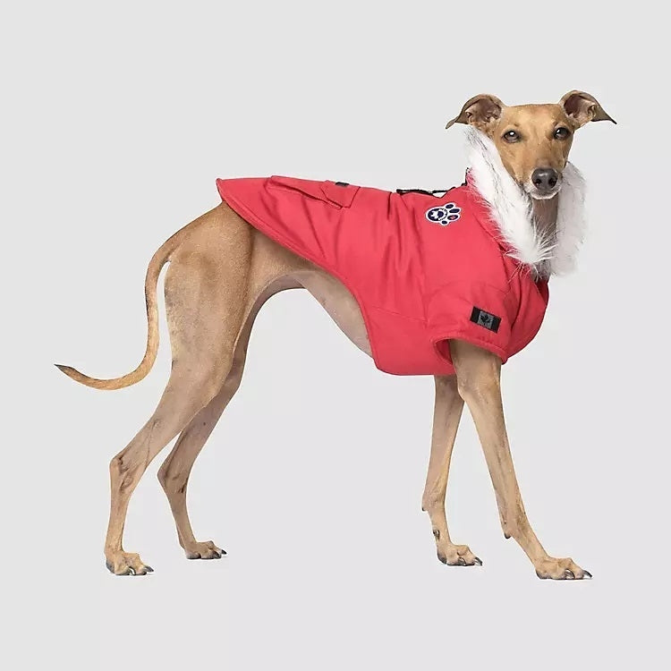 Canada Pooch Winter Wilderness Dog Parka