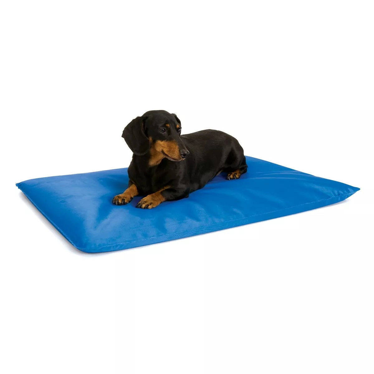 KH Mfg Cool Bed 3 Blue Cooling Pet Bed Small