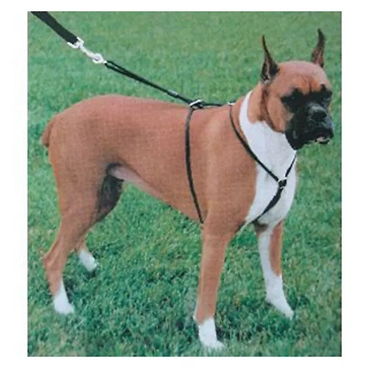 Walk Right! Control Dog Harness