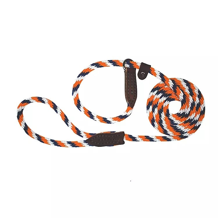 Slip Lead for Dogs