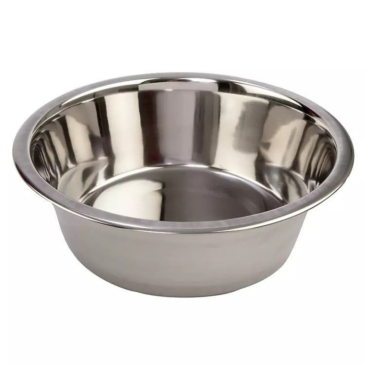 Stainless Steel Bowl