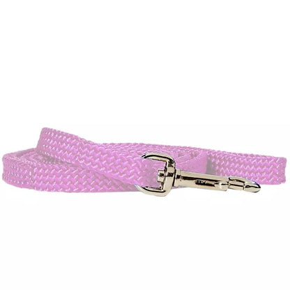 Rainbow Nylon Puppy Lead