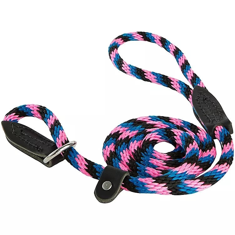 Slip Lead for Dogs