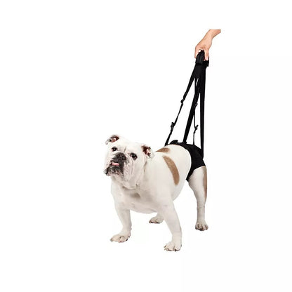 Lift Em Up Mobility Harness Rear