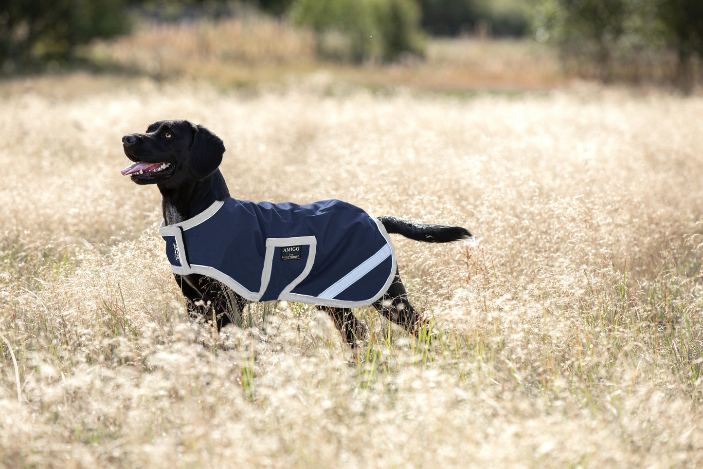 Amigo Ripstop Waterproof Dog Blanket