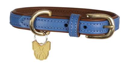 Shires Digby & Fox Padded Leather Dog Collar