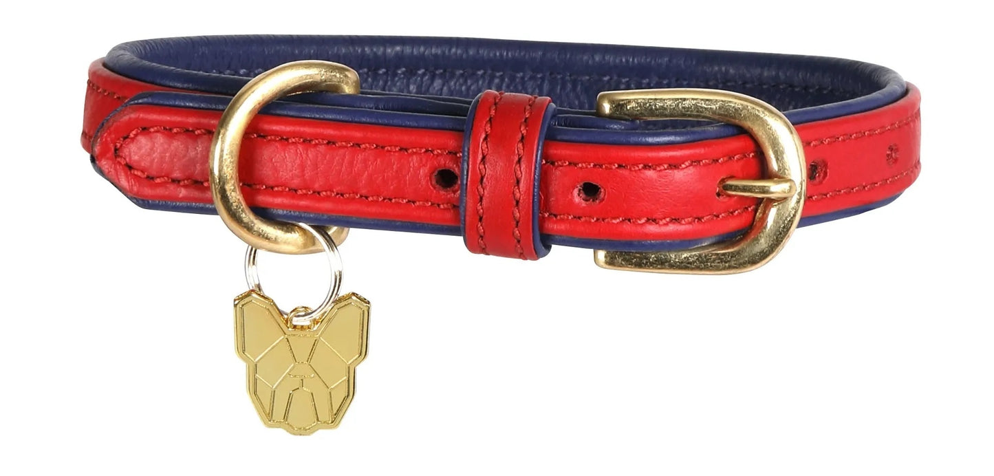 Shires Digby & Fox Padded Leather Dog Collar