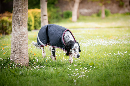 Amigo Ripstop Waterproof Dog Blanket