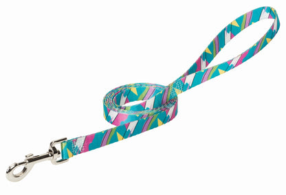 Weaver Patterened Dog Leash