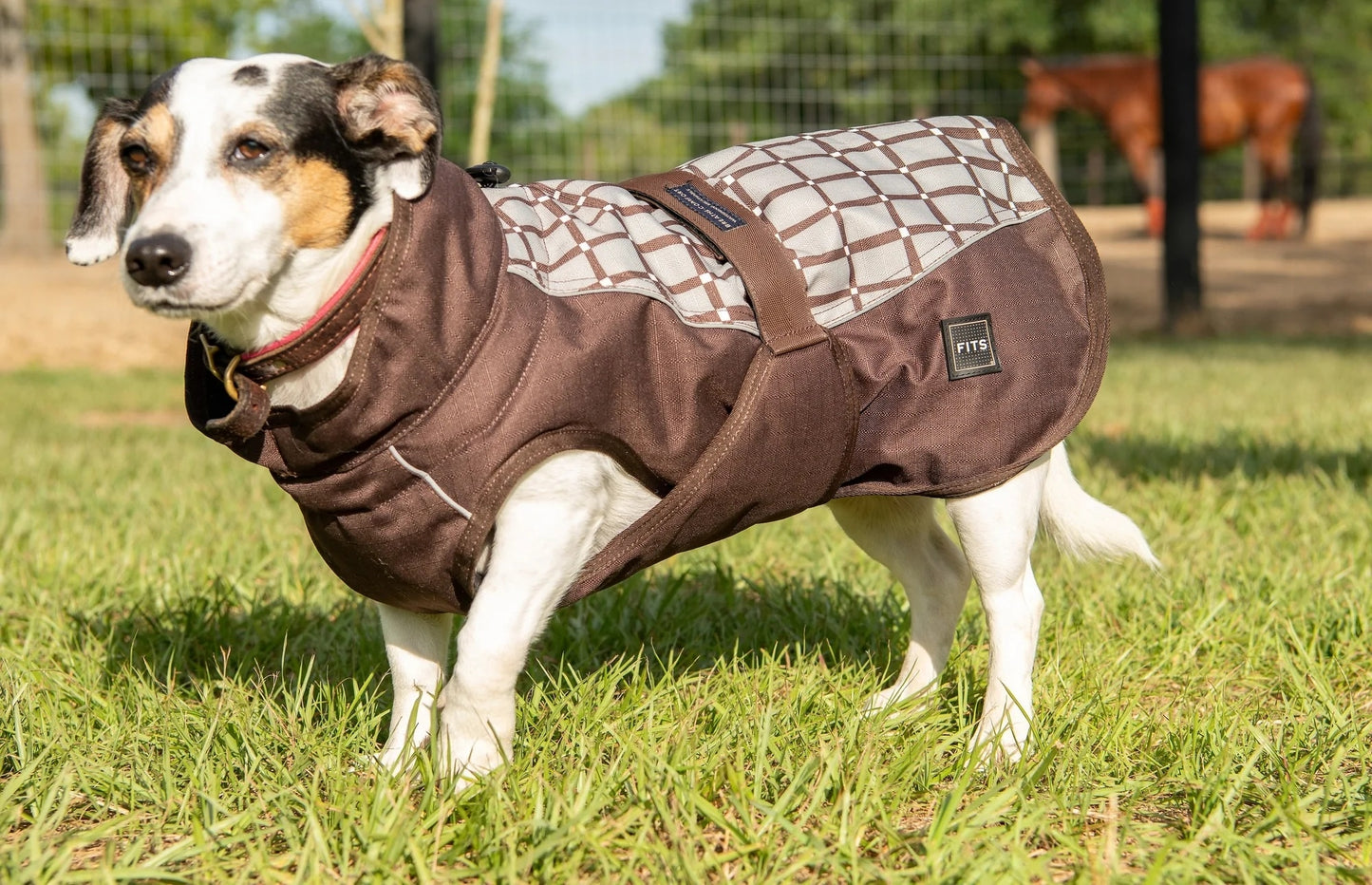 FITS All Weather Dog Coat