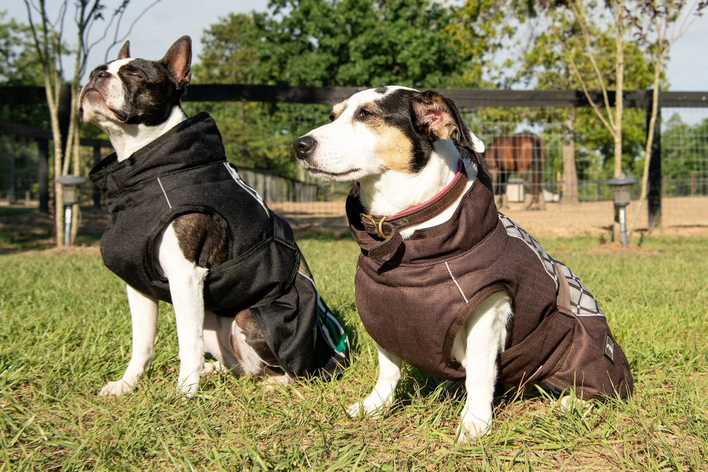 FITS All Weather Dog Coat