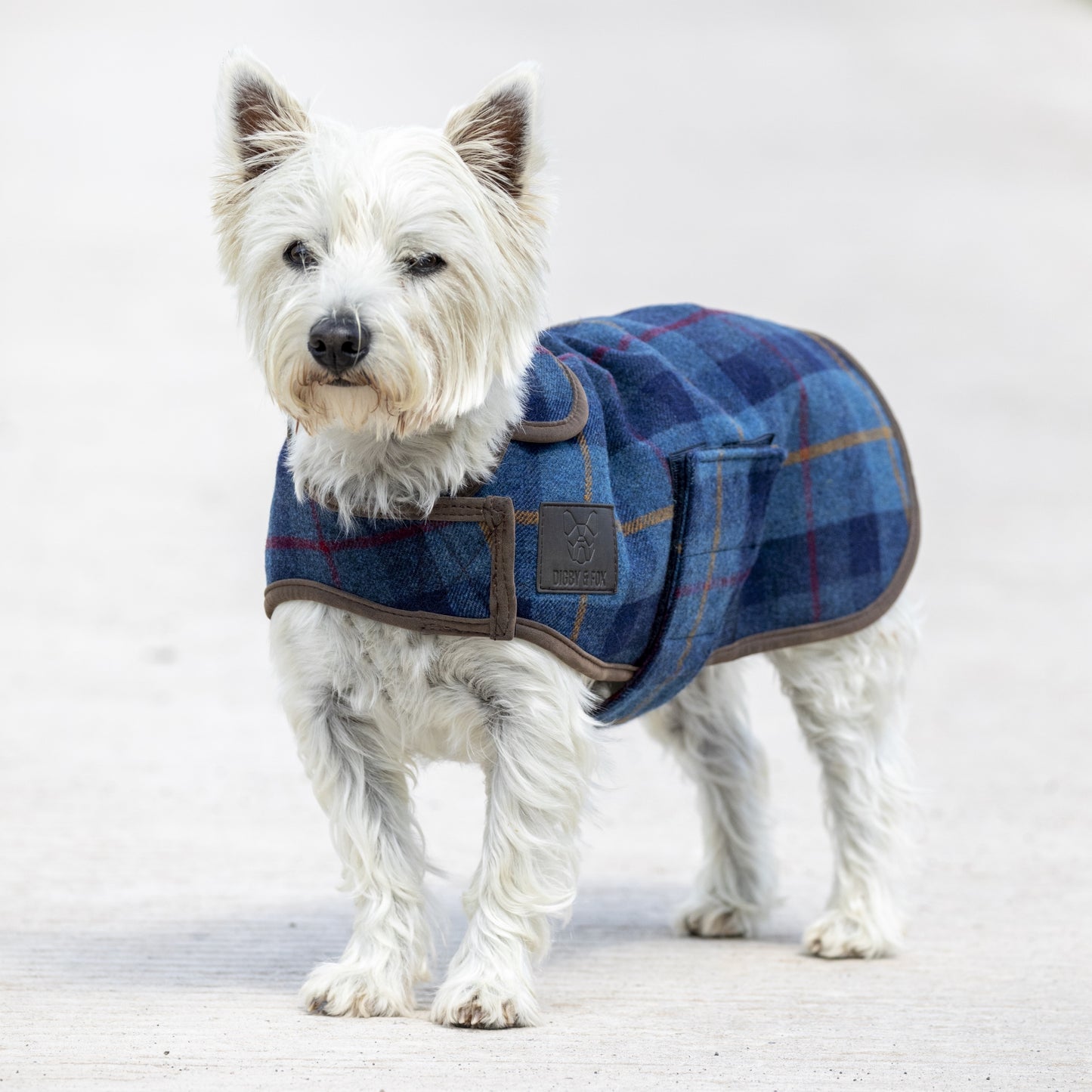 Shires Digby & Fox Tweed Dog Coat