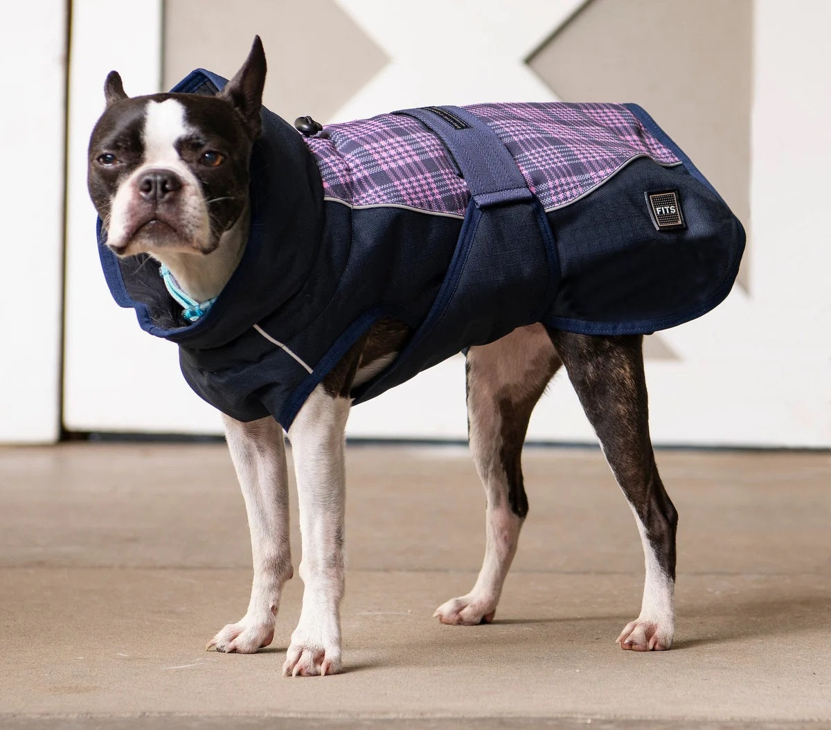 FITS All Weather Dog Coat