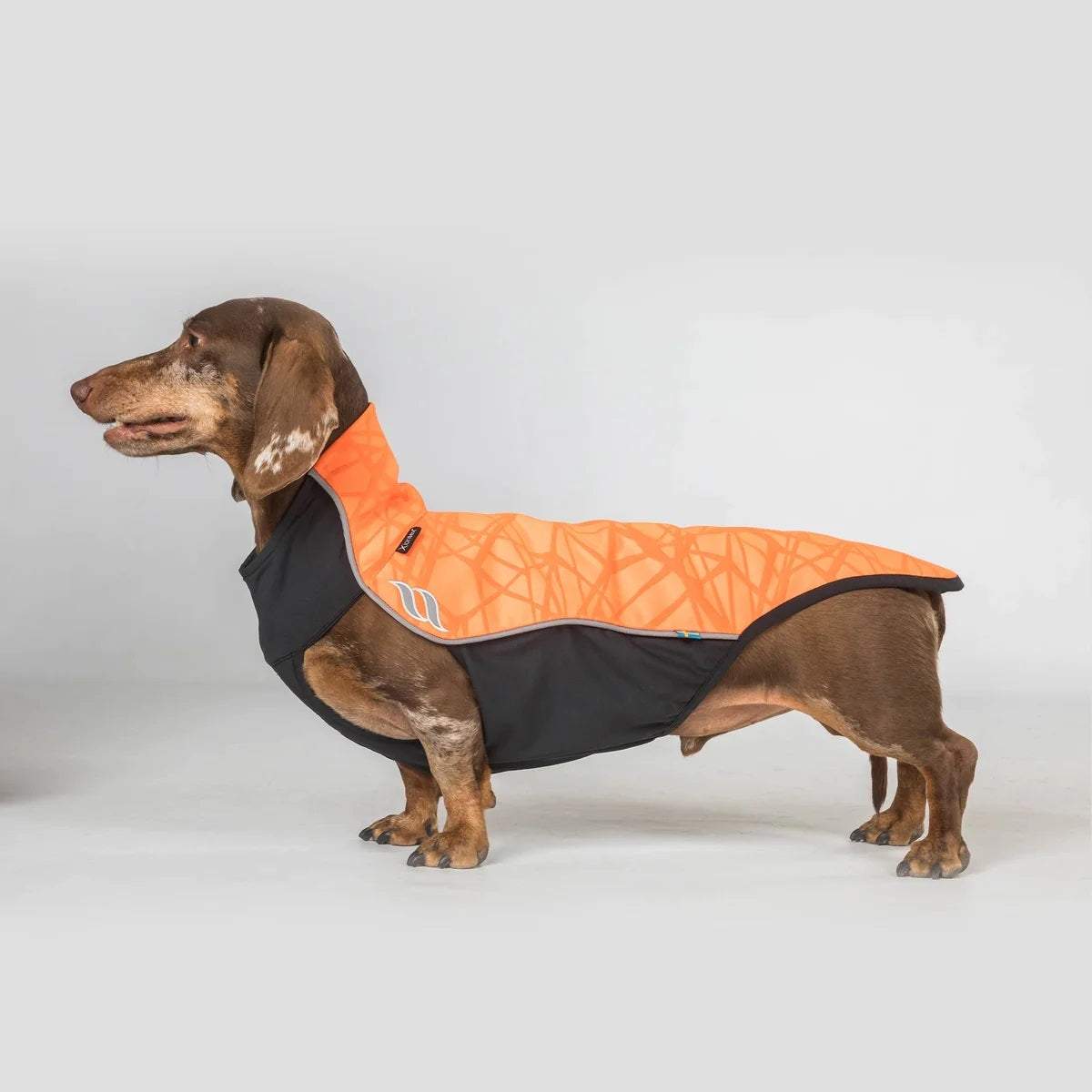 Back on Track Eddie High Visibility Reflective Dog Jumper