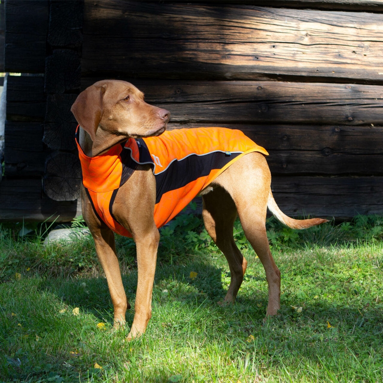 Back on Track Eddie High Visibility Reflective Dog Jumper