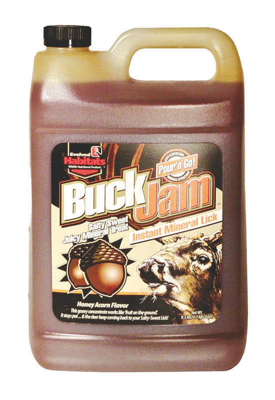 Buckjam Honey Acorn