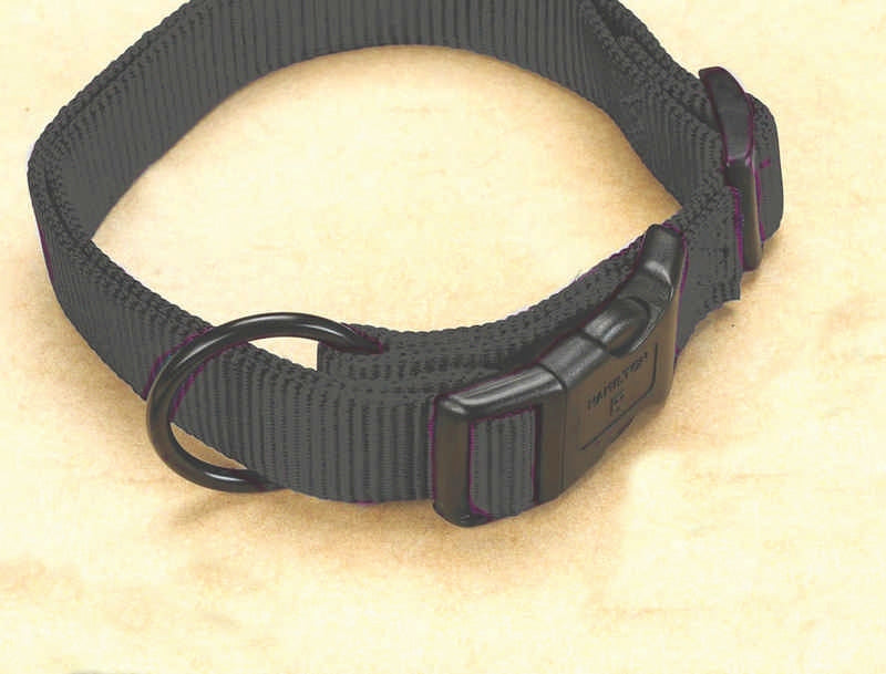 Adjustable Nylon Dog Collar