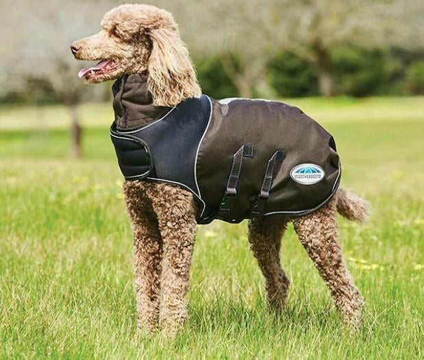 Weatherbeeta ComFiTec Ultra Cozi Dog Coat