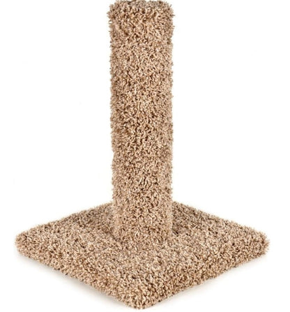 Kitty Cactus Scratch Post