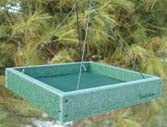 Go Green Platform Feeder