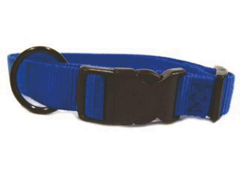 Adjustable Dog Collar