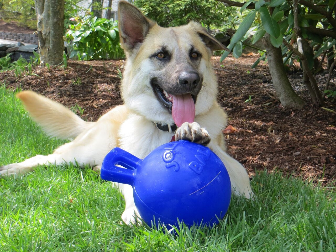 Jolly Pets Tug-N-Toss Ball