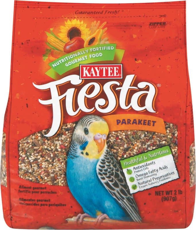 Fiesta Food Parakeet