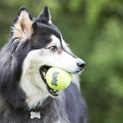 KONG Airdog SqueakAir Ball