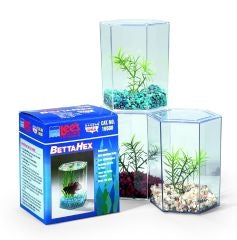 Betta Keeper With Lid