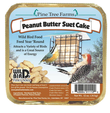 Peanut Butter Suet Cake