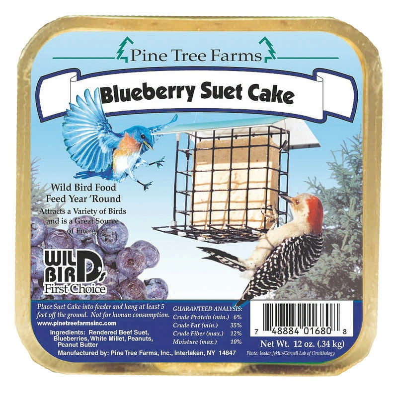 Blueberry Suet Cake