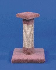 Kitty Cactus With Sisal Scratch Post