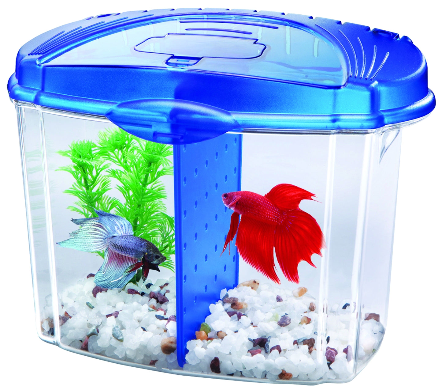 Aqueon Betta Bowl Starter Kit