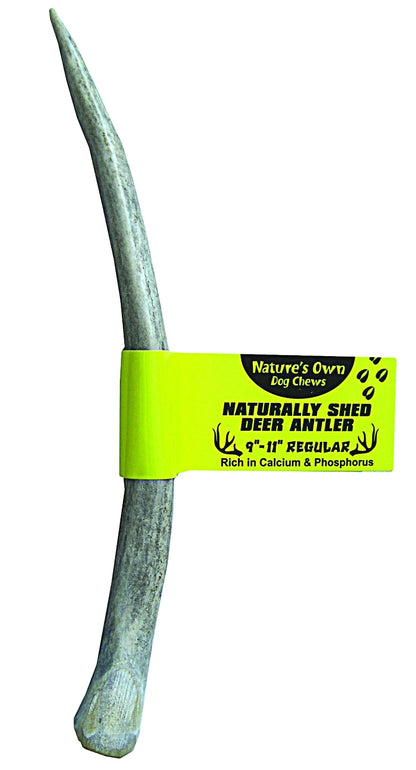 Nature's Own Pet Chews Deer Antler - Regular