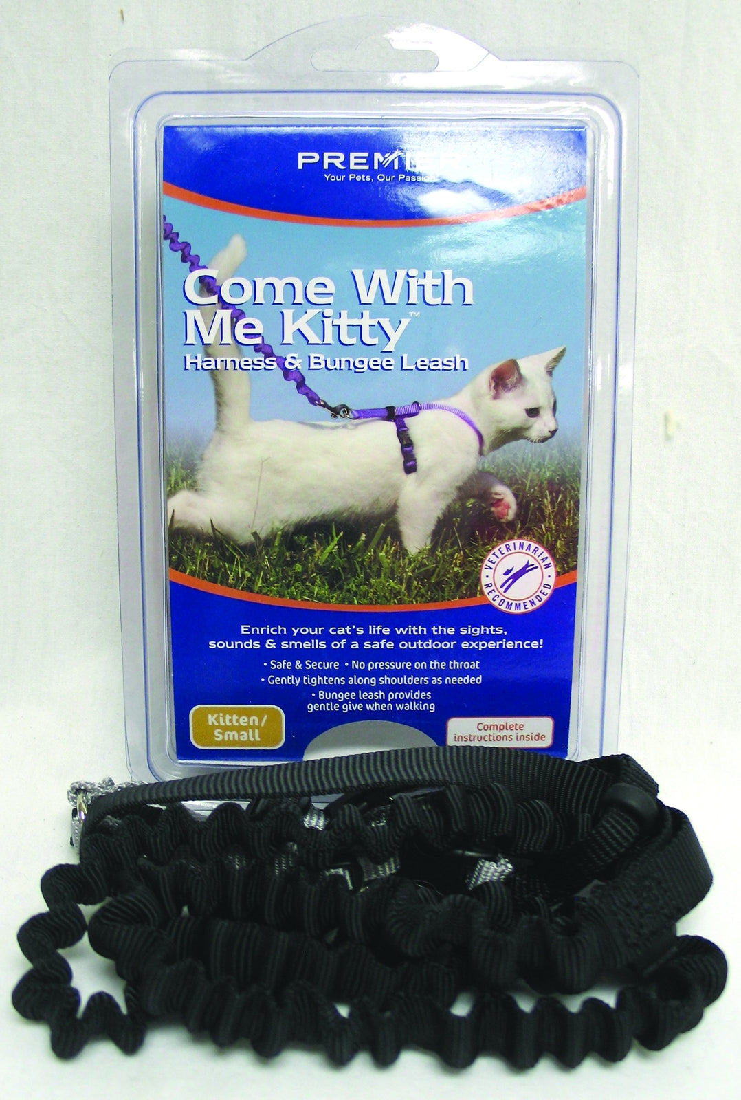 Petsafe Come With Me Kitty Harness & Bungee Leash