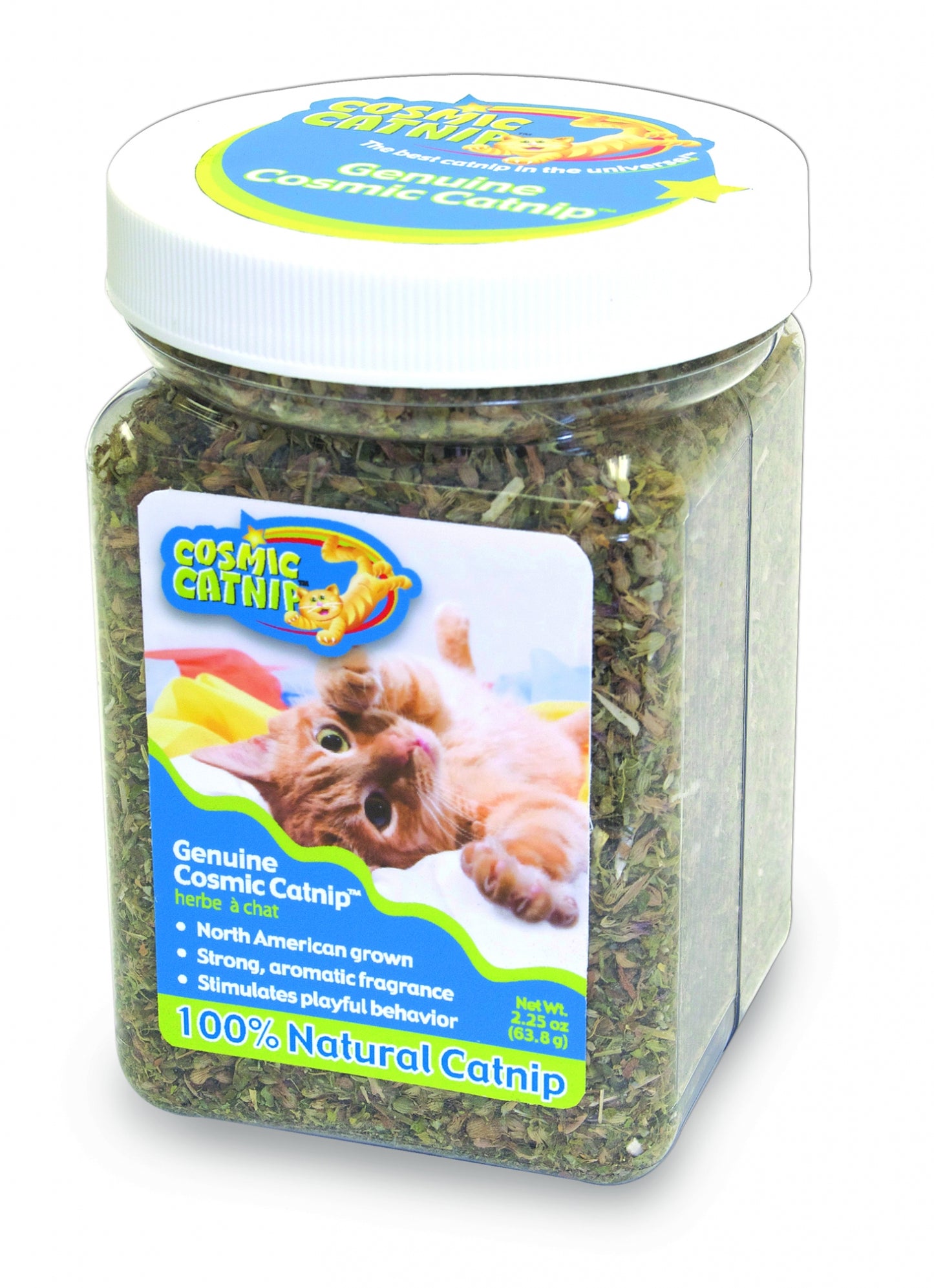 Cosmic Catnip Jar