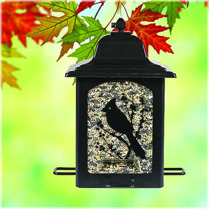 PerkyPet Birds & Berries Lantern Feeder