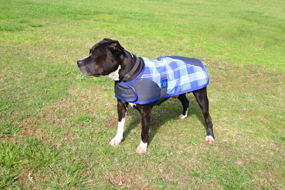 Kensington Signature Dog Coat