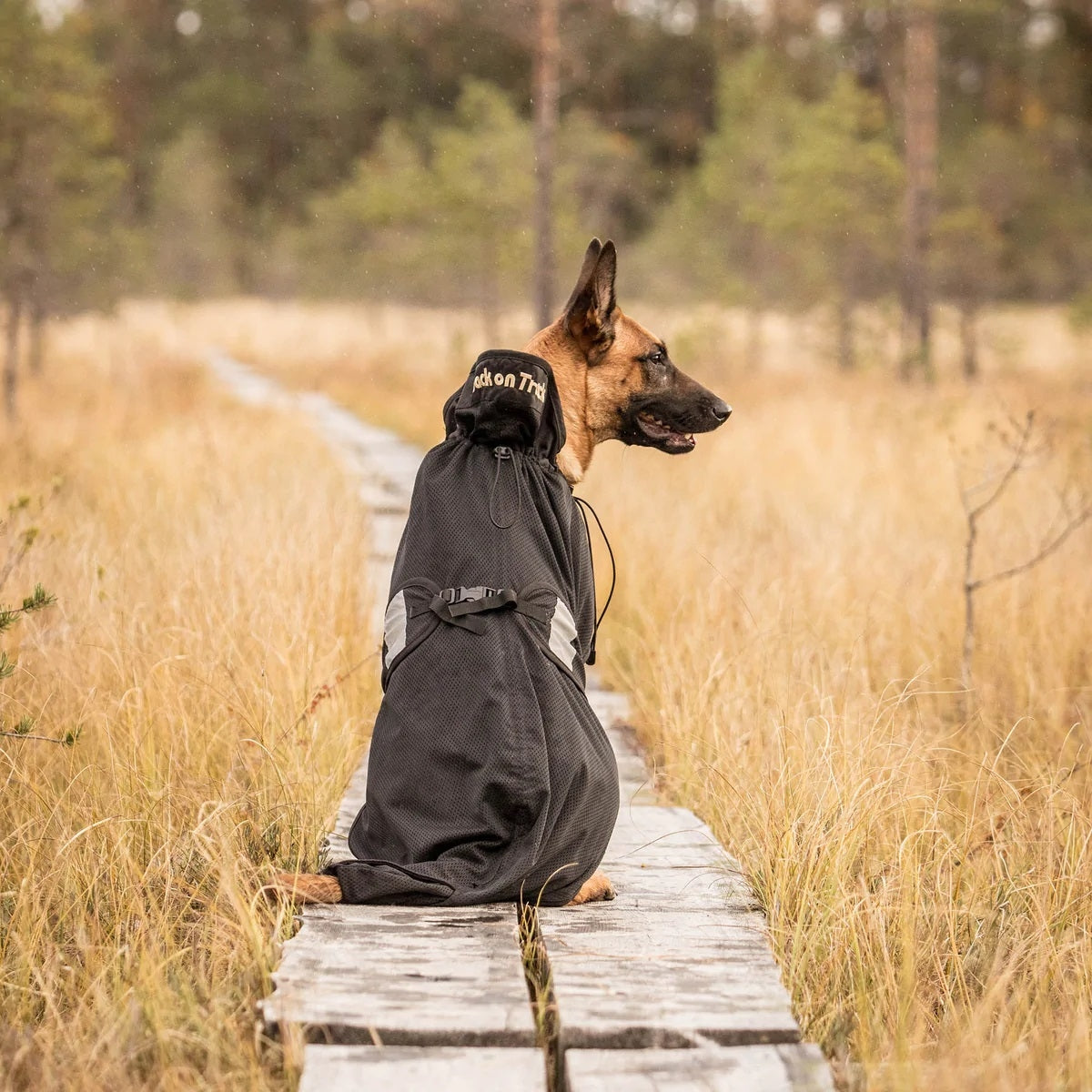 Back On Track Therapeutic Mesh Dog Coat