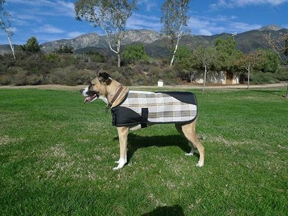 Kensington Signature Dog Coat