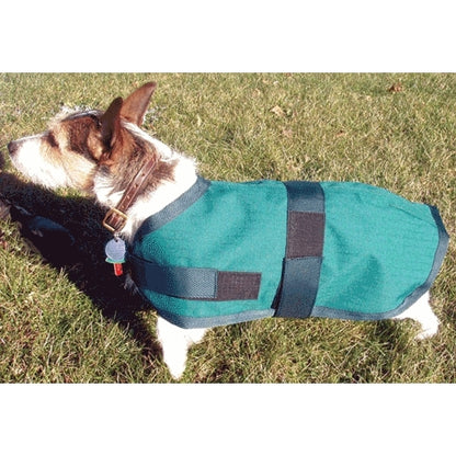 High Spirit Dog Rain Coat