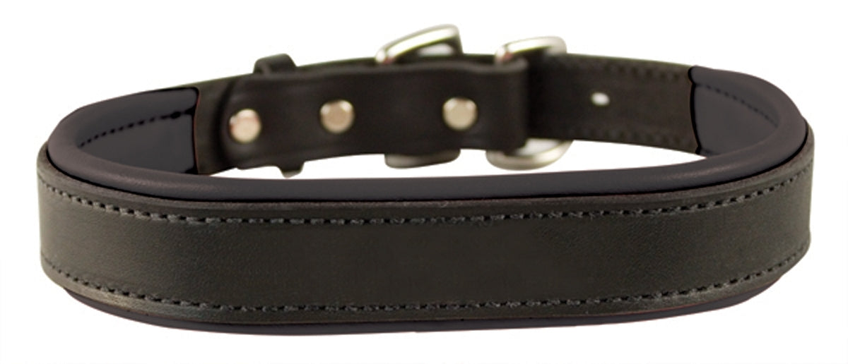 Perri's Padded Leather Dog Collar