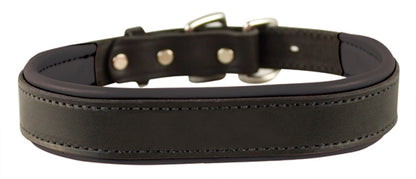 Perri's Padded Leather Dog Collar - Factory Seconds Offer!