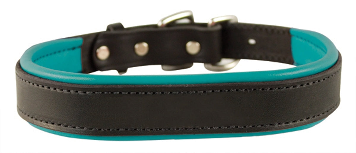 Perri's Padded Leather Dog Collar